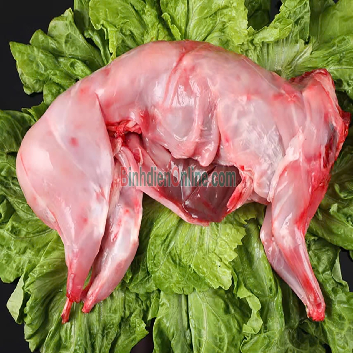 Thỏ làm sạch nguyên con  tươi ngon, nuôi an toàn 2-2,5 kg/con Xuất xứ Ninh Thuận
