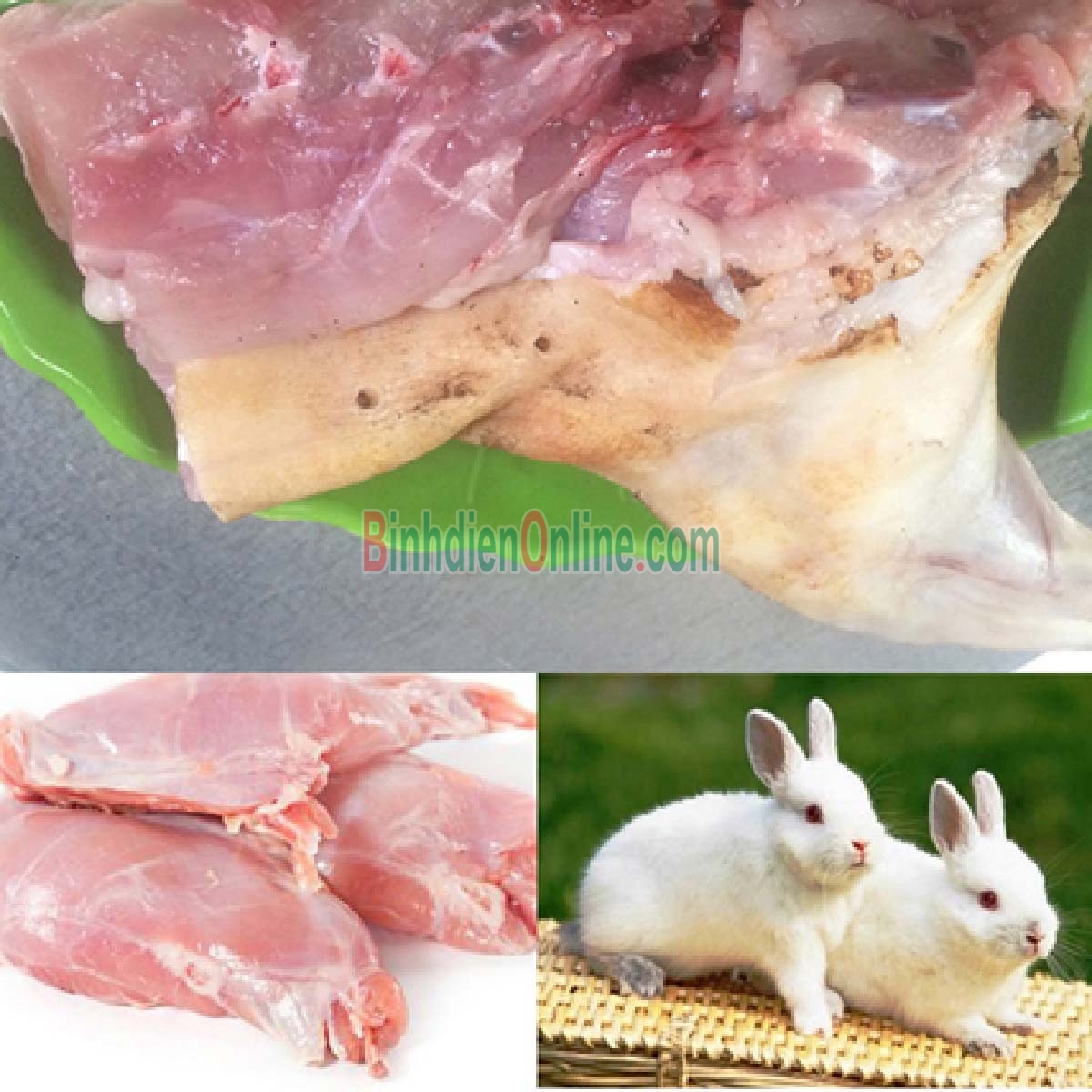 Thỏ làm sạch nguyên con  hảo hạng, nuôi tự nhiên 2-2,5 kg/con Xuất xứ Ninh Thuận