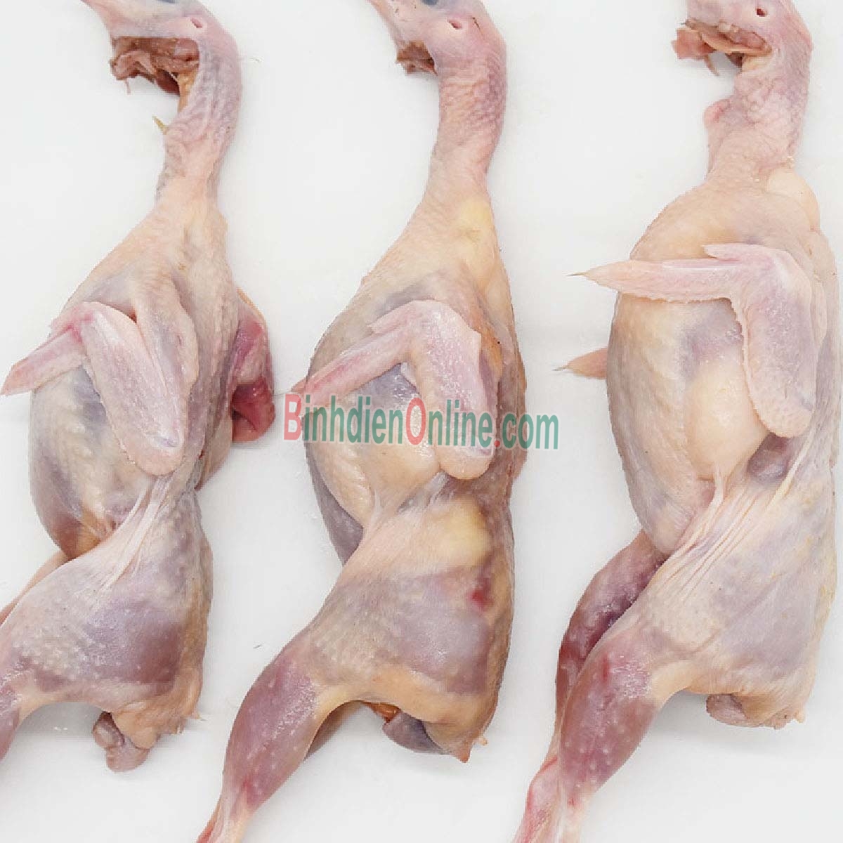 Chim cút làm sạch, tươi ngon giá tốt Loại lớn Xuất xứ Đồng Nai