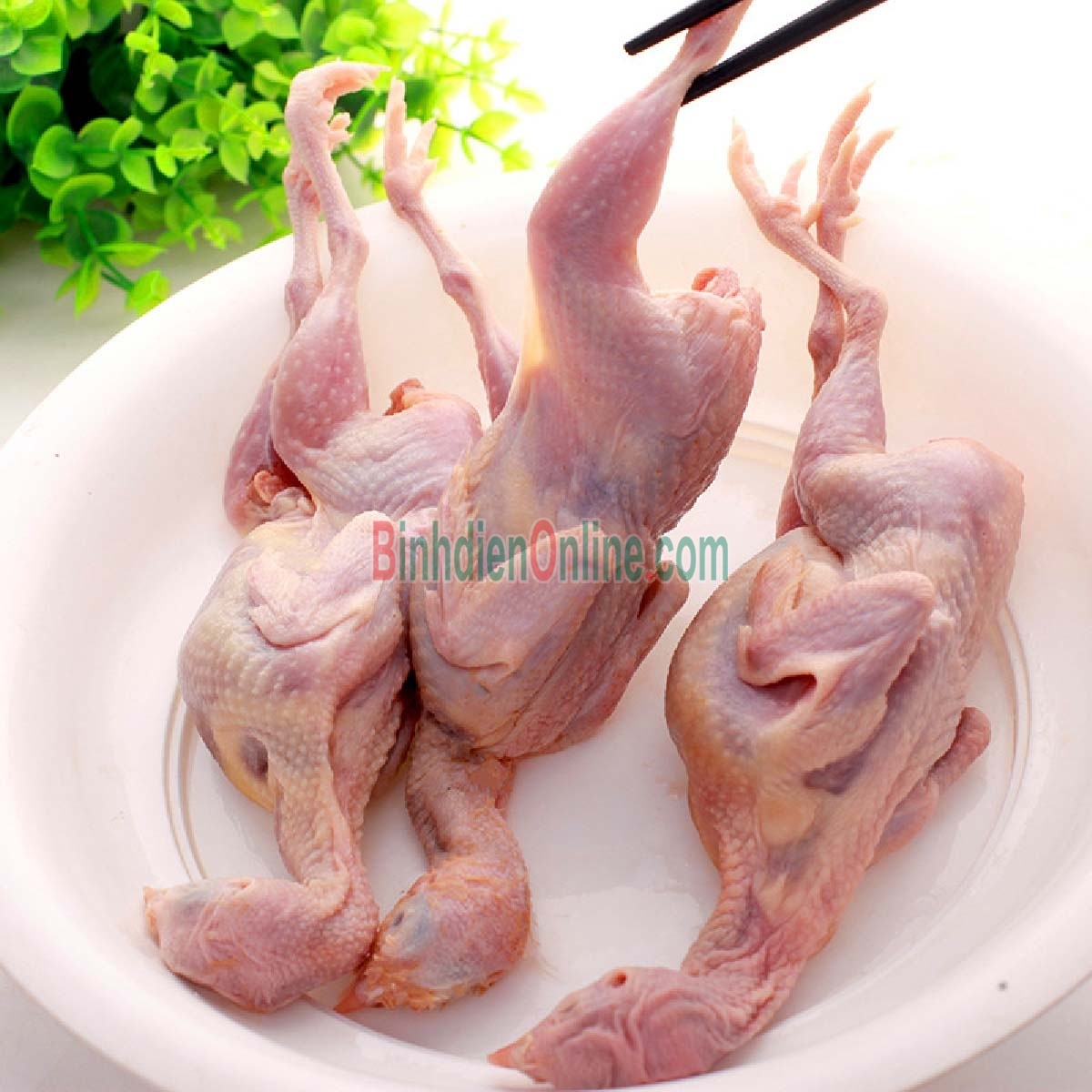 Chim cút làm sạch, thịt dai ngon Loại trung Xuất xứ Đồng Nai