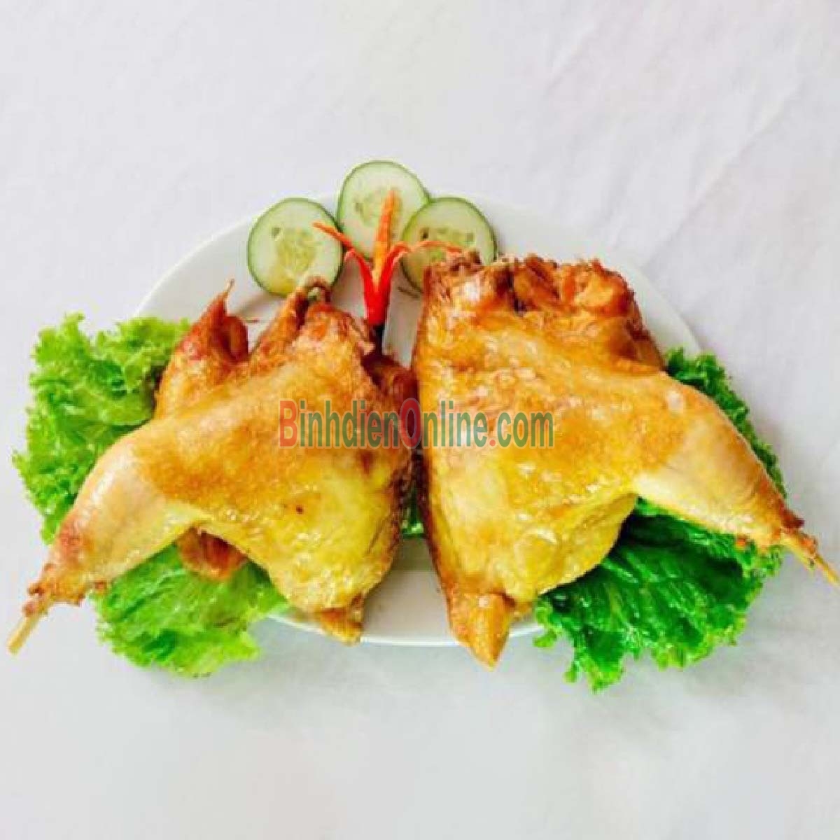 Chim trĩ xanh còn sống đảm bảo ngon 1,2-1,5 kg/con Xuất xứ Long An
