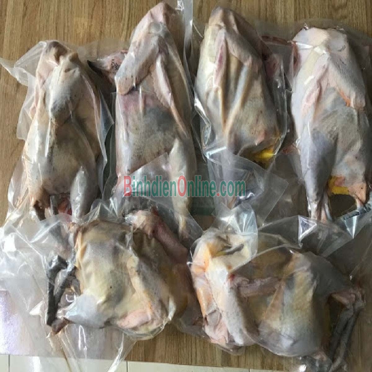 Chim trĩ xanh còn sống đảm bảo ngon 0,8-1,2 kg/con Xuất xứ Đồng Nai