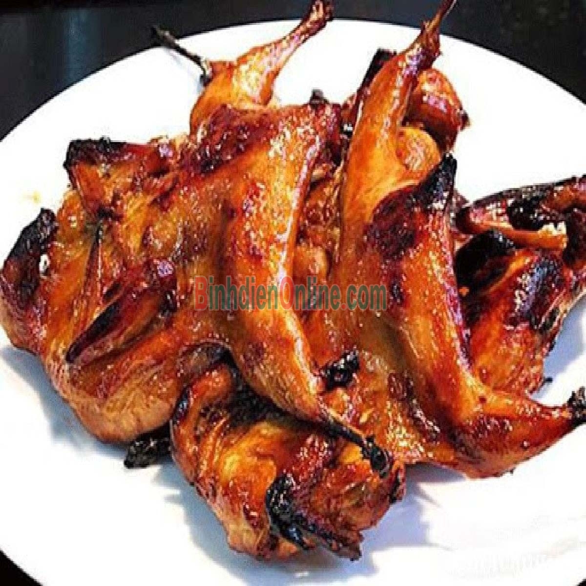 Chim trĩ xanh còn sống đảm bảo ngon 0,8-1,2 kg/con Xuất xứ Đồng Tháp