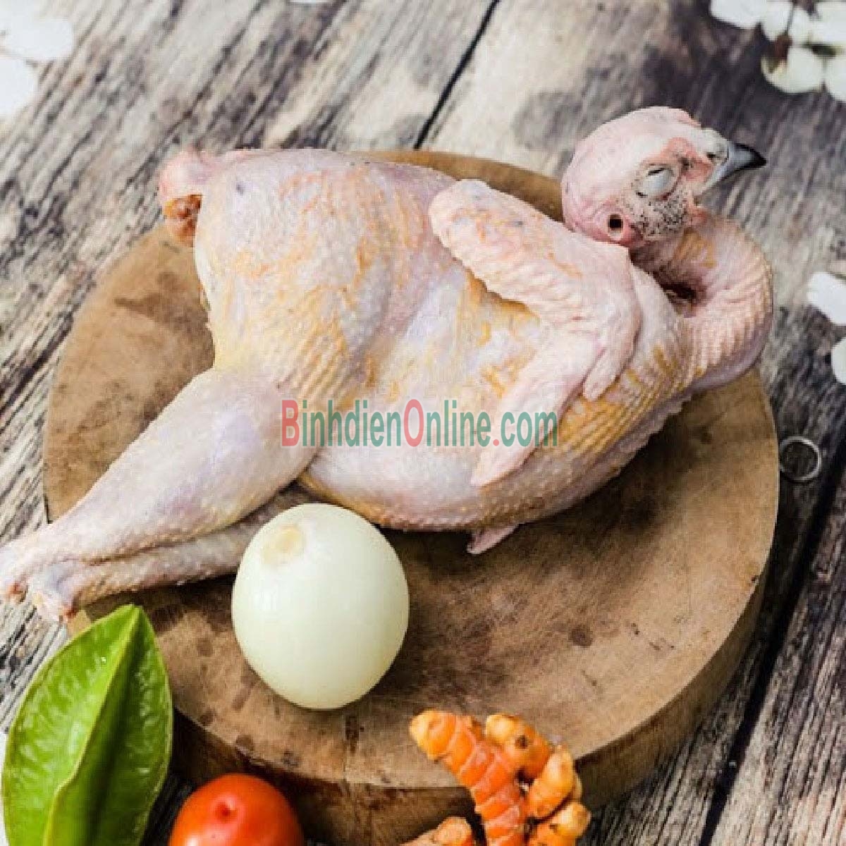 Chim trĩ đỏ còn sống, thịt ngon tuyệt 0,8-1,2 kg/con Xuất xứ Long An
