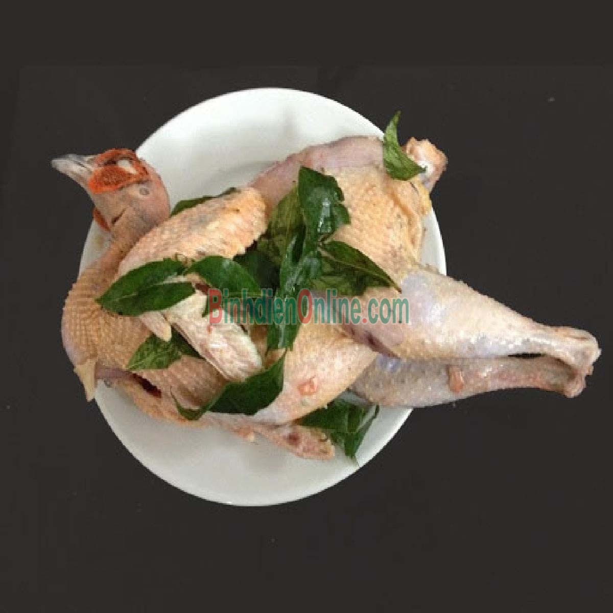 Chim trĩ xanh còn sống đảm bảo ngon và giá tốt 0,8-1,2 kg/con Xuất xứ Bình Dương