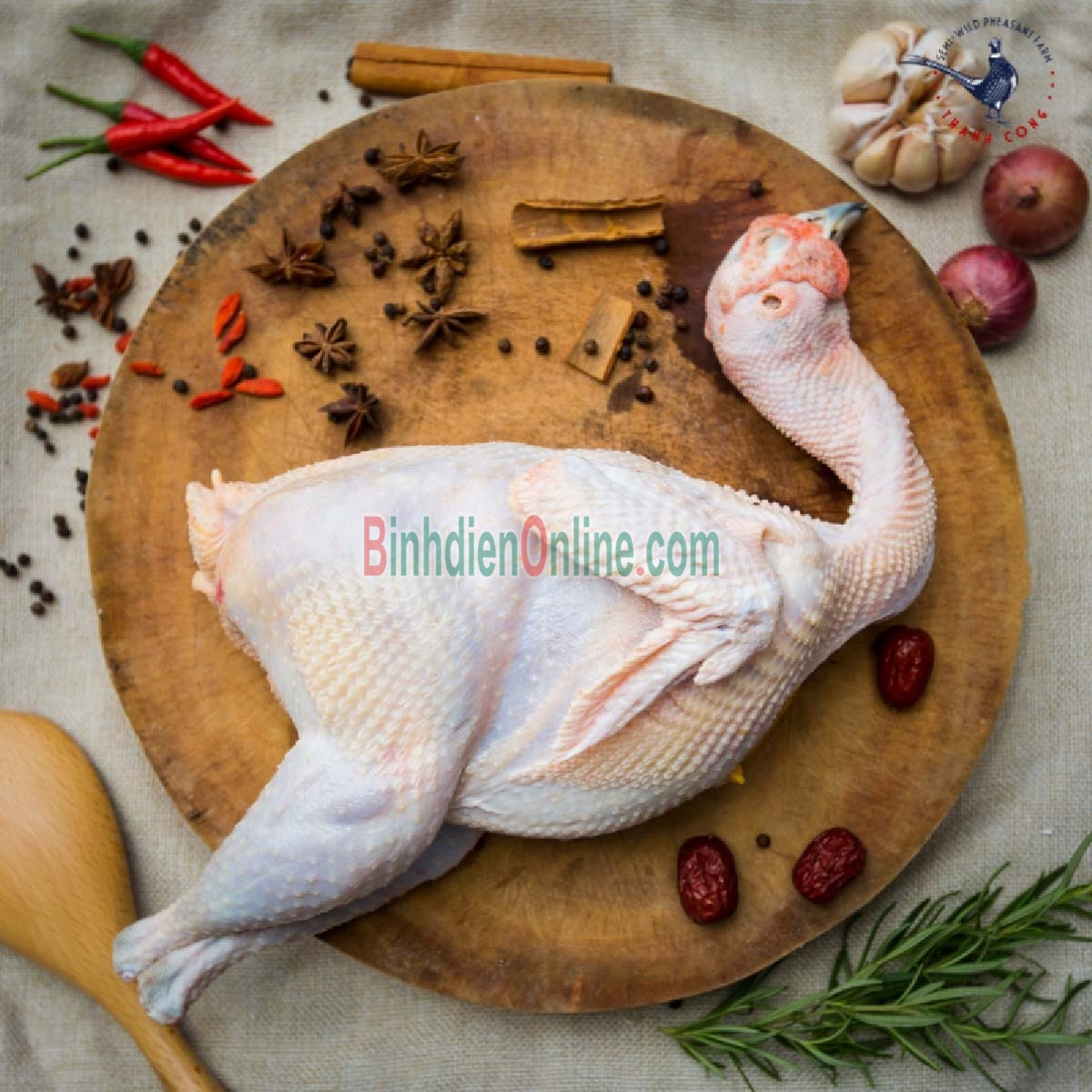 Chim trĩ đỏ còn sống, thịt ngon tuyệt 0,8-1,2 kg/con Xuất xứ Đồng Nai