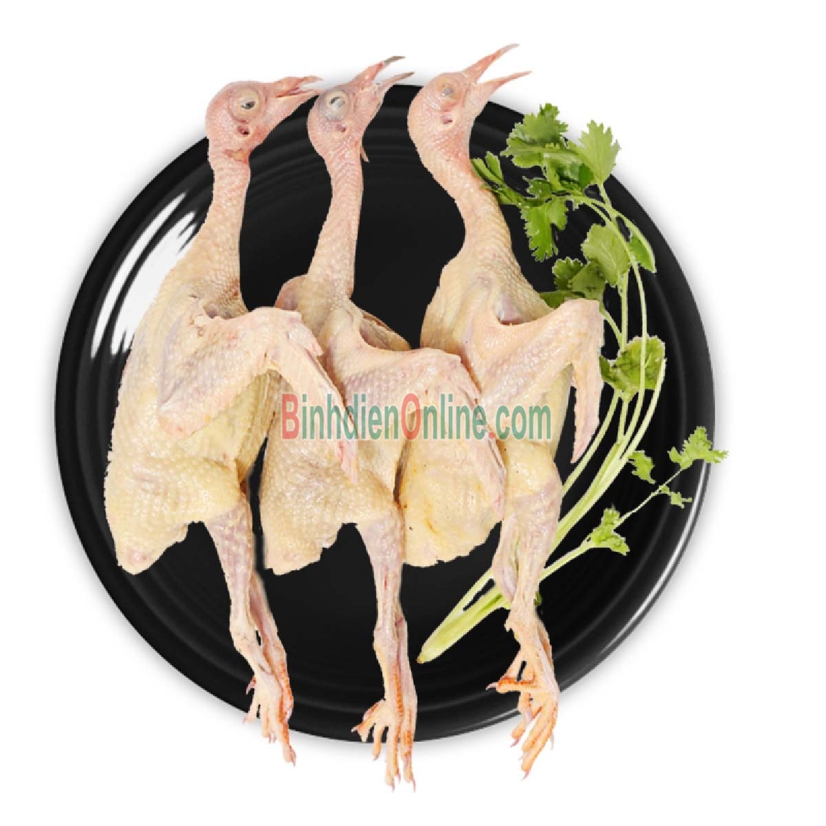 Chim bồ câu ta làm sạch loại 1, ngon bổ 300-400 gr/con Xuất xứ Tây Ninh