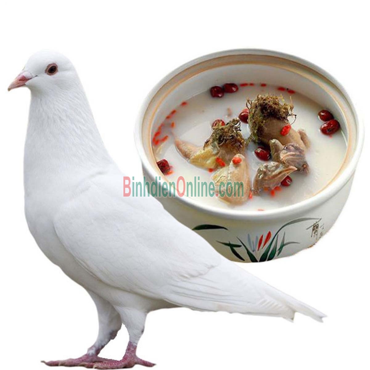 Chim bồ câu ta làm sạch, an toàn thơm ngon 200-300 gr/con Xuất xứ Bình Dương