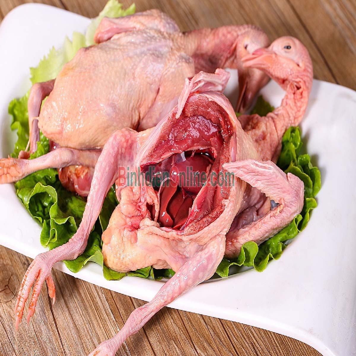 Chim bồ câu pháp làm sạch - loại 1 - nuôi tiêu chuẩn VietGAP 400-500 gr/con Xuất xứ Đồng Nai