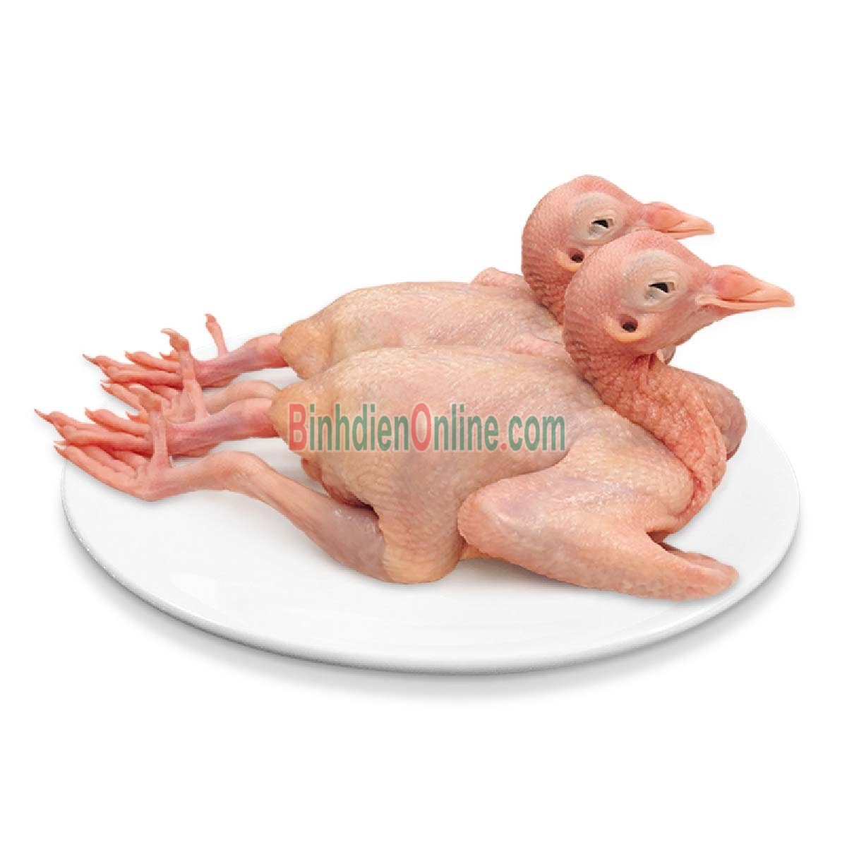 Chim bồ câu ta làm sạch, an toàn thơm ngon 300-400 gr/con Xuất xứ Đồng Nai