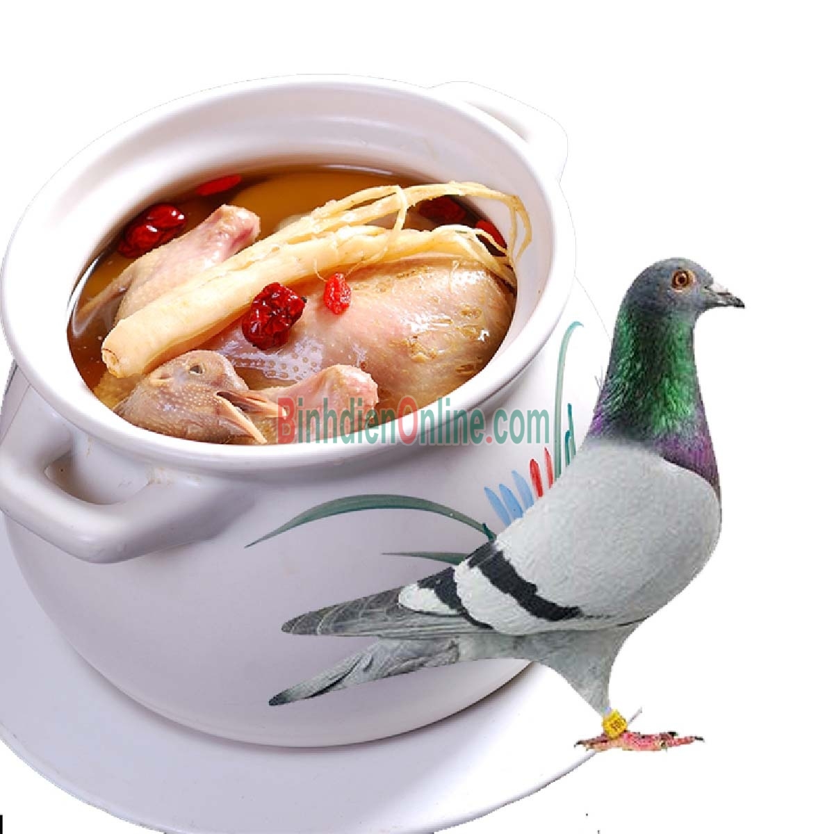 Chim bồ câu ta làm sạch, tươi ngon bổ dưỡng 200-300 gr/con Xuất xứ Bình Dương