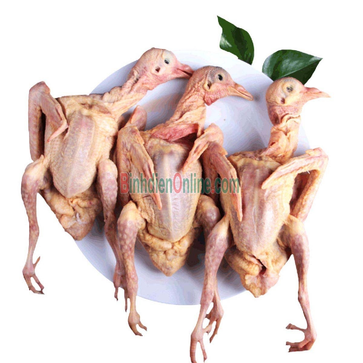 Chim bồ câu ta làm sạch, tươi ngon bổ dưỡng 200-300 gr/con Xuất xứ Đồng Nai