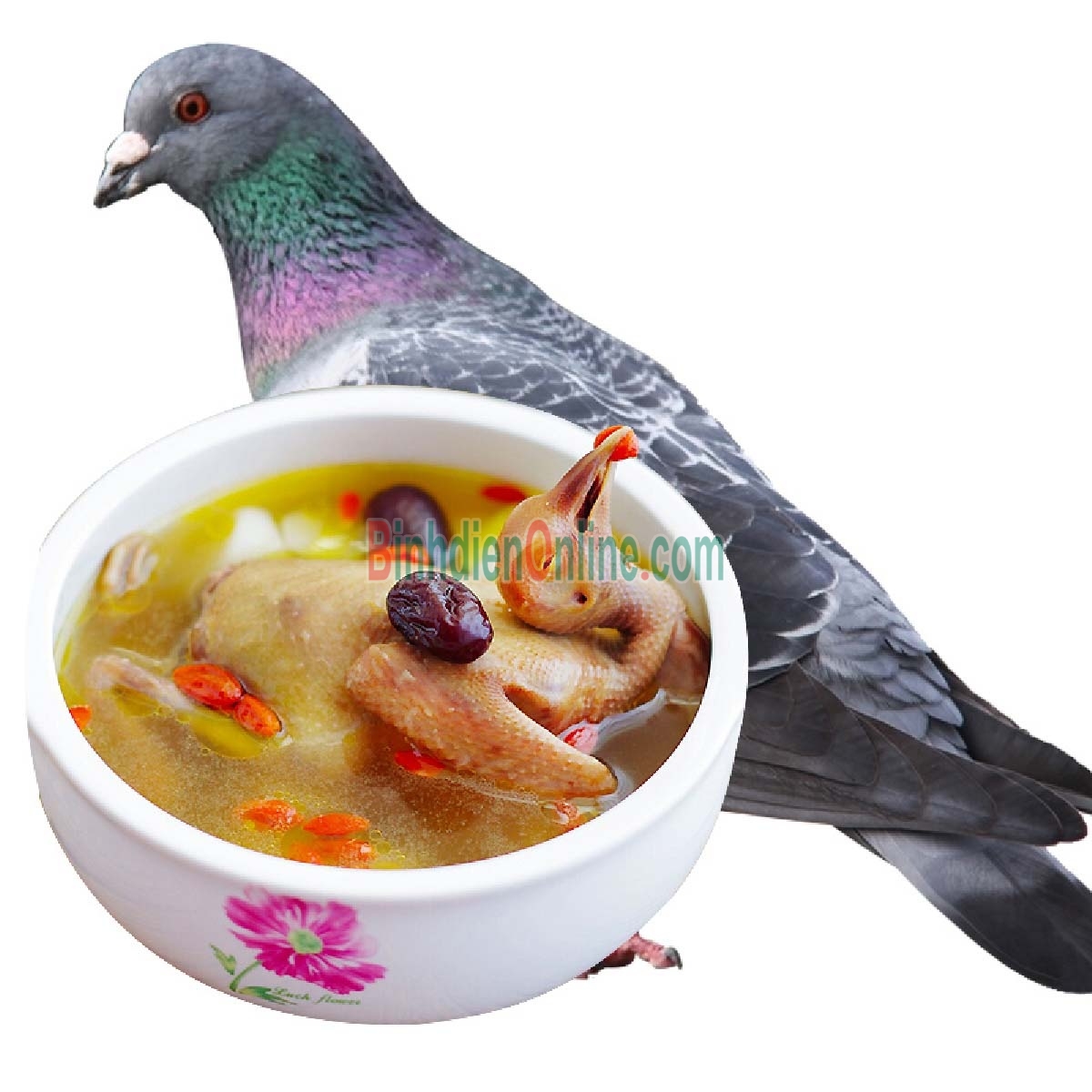 Chim bồ câu ta làm sạch loại 1, ngon bổ 300-400 gr/con Xuất xứ Đồng Tháp