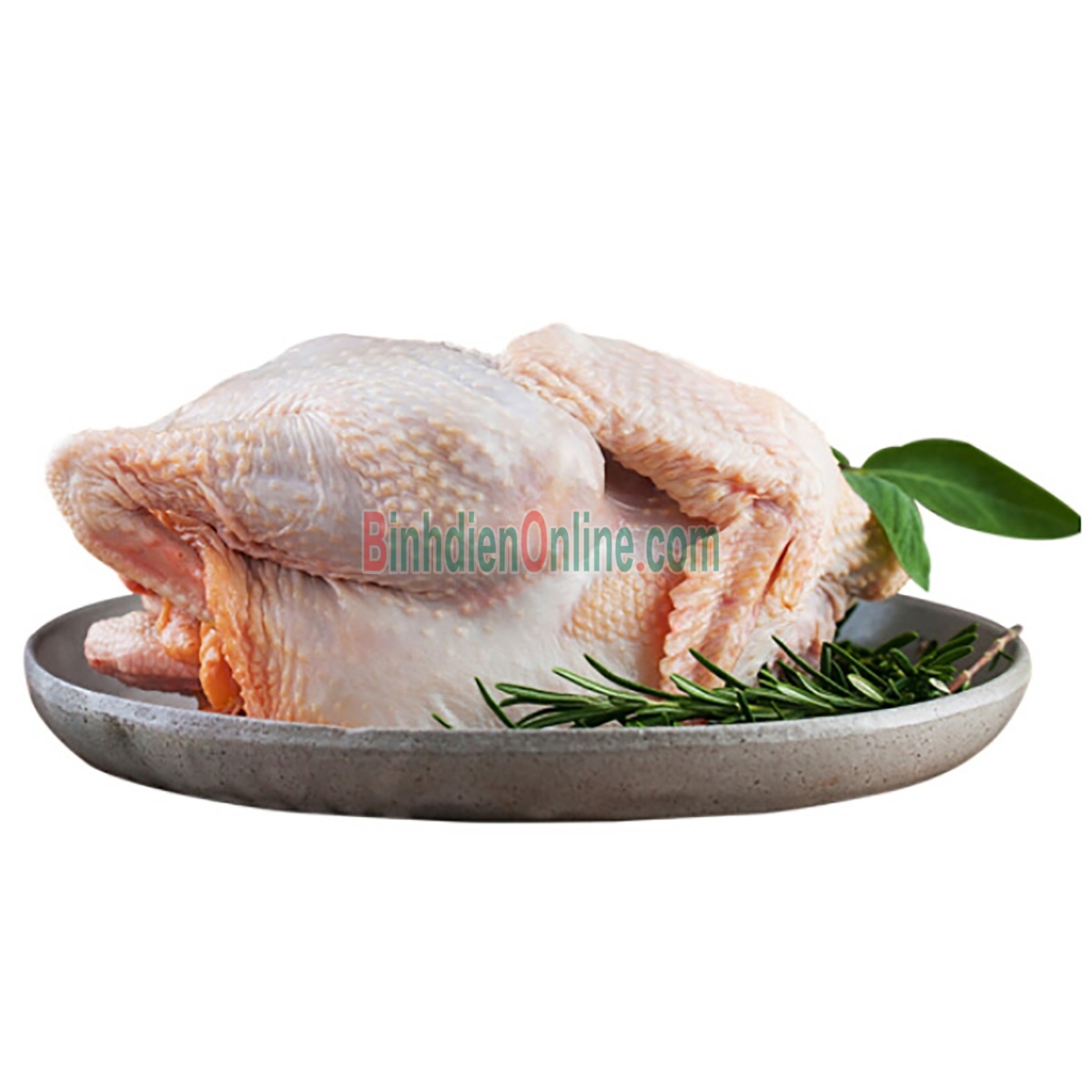 Gà lai chọi nuôi thiên nhiên  sống, giá tốt 2,5-3 kg/con Xuất xứ Bình Dương