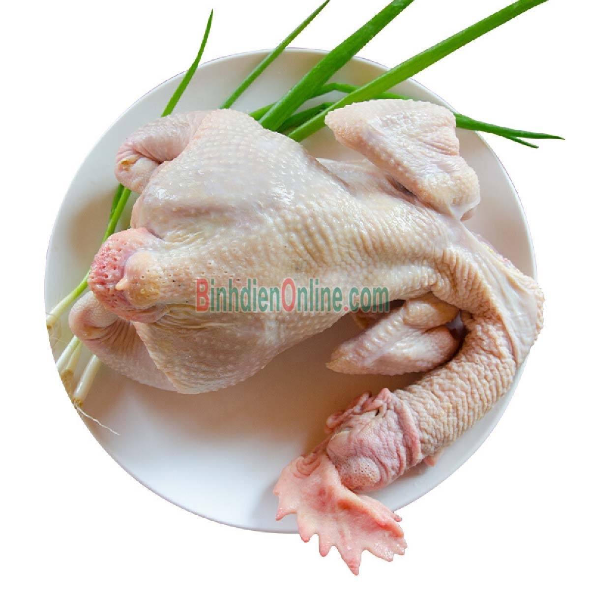 Gà lai chọi nuôi thiên nhiên  sống, giá tốt 1-1,5 kg/con Xuất xứ Đồng Tháp