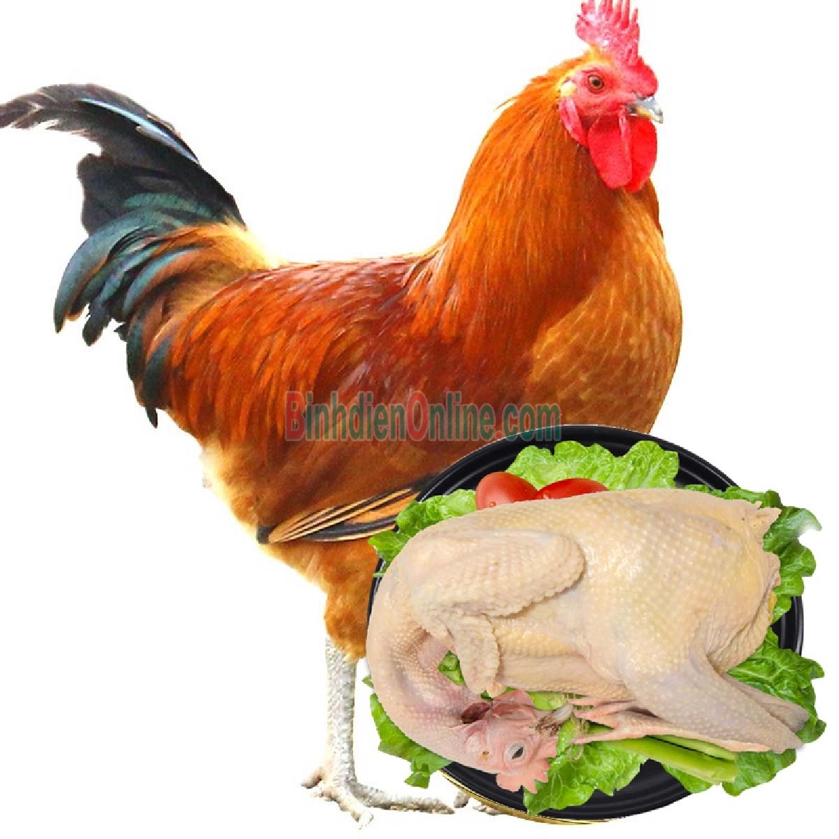 Gà ta nuôi thiên nhiên  đã làm sạch 2,5-3 kg/con Xuất xứ Đồng Tháp