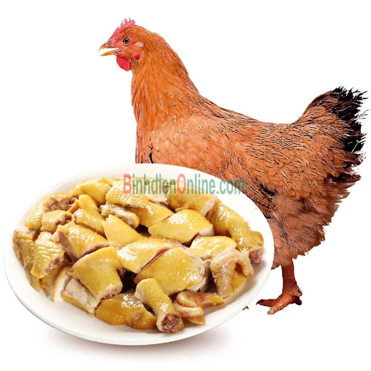 Gà ta leo cây  đã làm sạch 1,5-2 kg/con Xuất xứ Đồng Nai
