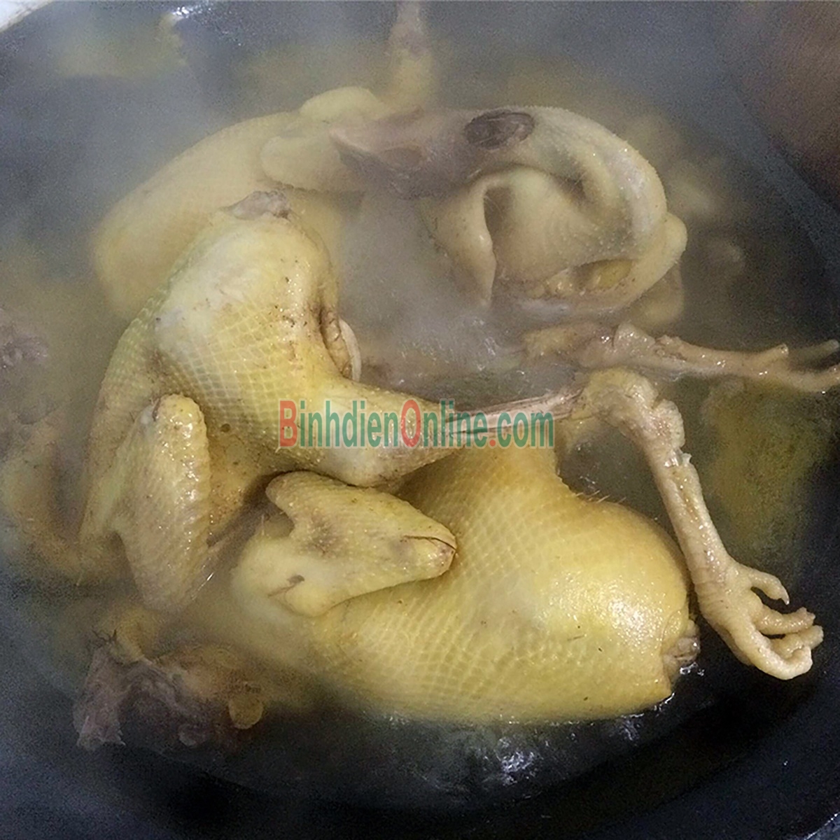 Gà ta leo cây  đã làm sạch 2-2,5 kg/con Xuất xứ Long An