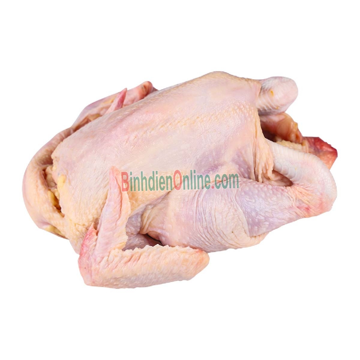 Gà ta thả vườn  sống, ăn là ghiền 1,5-2 kg/con Xuất xứ Tây Ninh