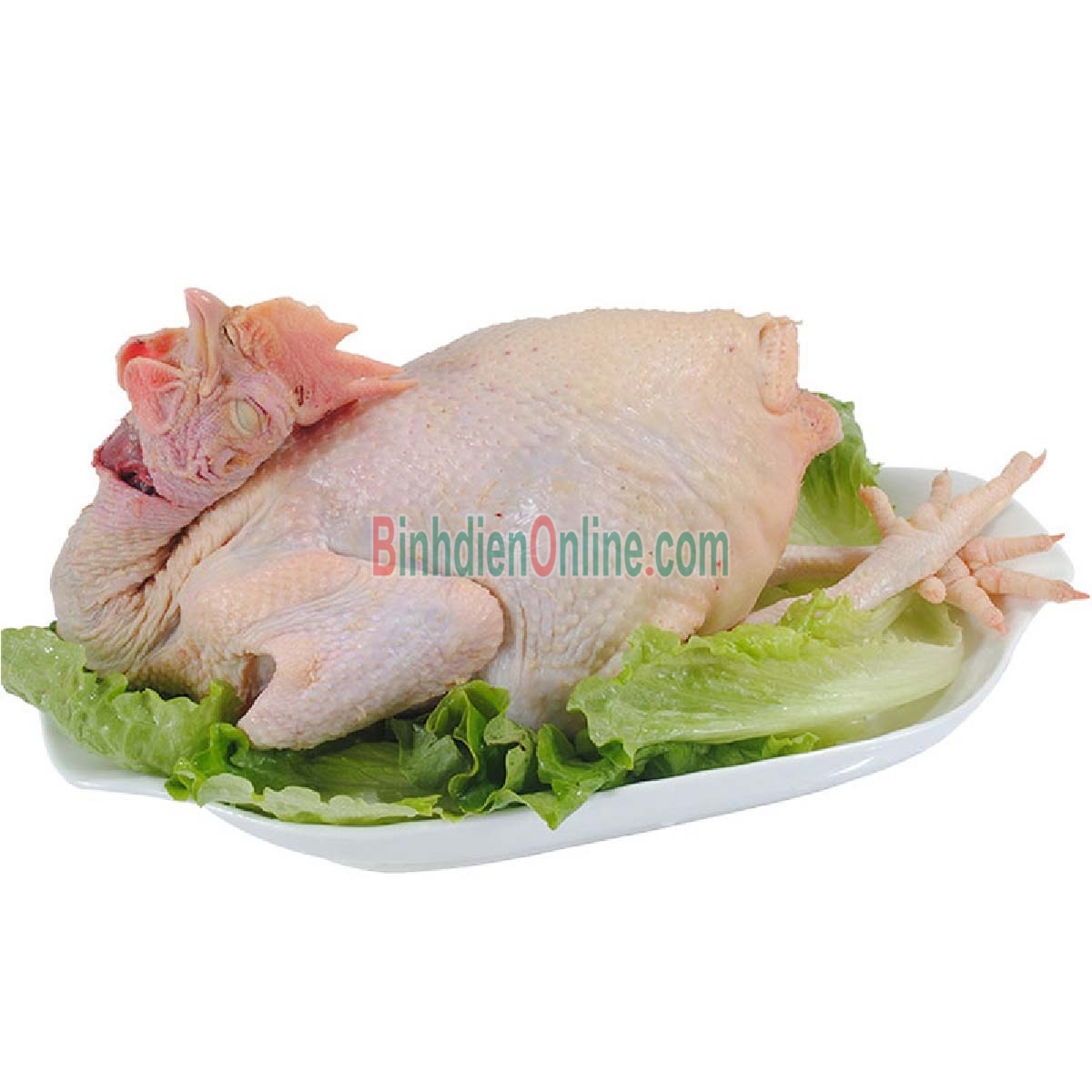 Gà ta nuôi thiên nhiên  đã làm sạch 1-1,5 kg/con Xuất xứ Tiền Giang