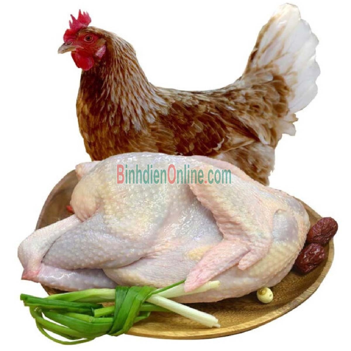Gà ta leo cây  đã làm sạch 2-2,5 kg/con Xuất xứ Đồng Nai