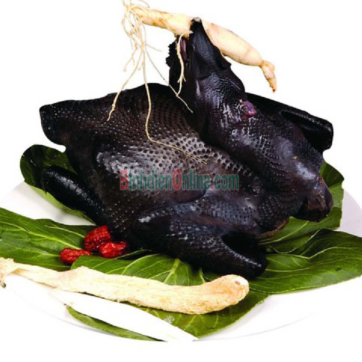 Gà ác nuôi thả tự nhiên còn sống, ngon và an toàn 400-500 gr/con Xuất xứ Long An