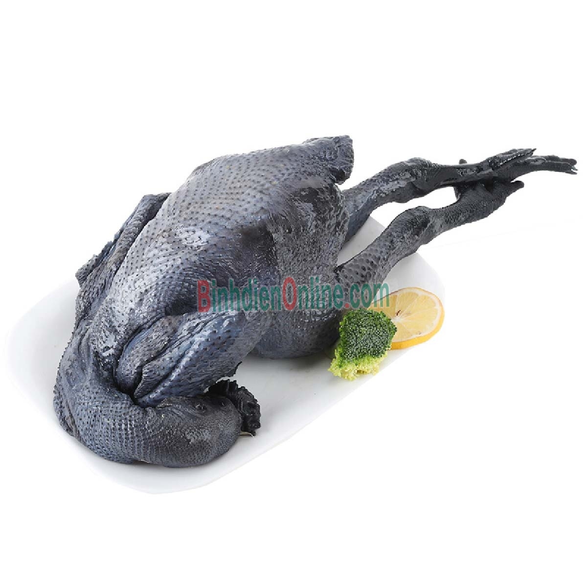 Gà ác sống nhà nuôi nuôi thiên nhiên an toàn 500-700 gr/con Xuất xứ Tây Ninh