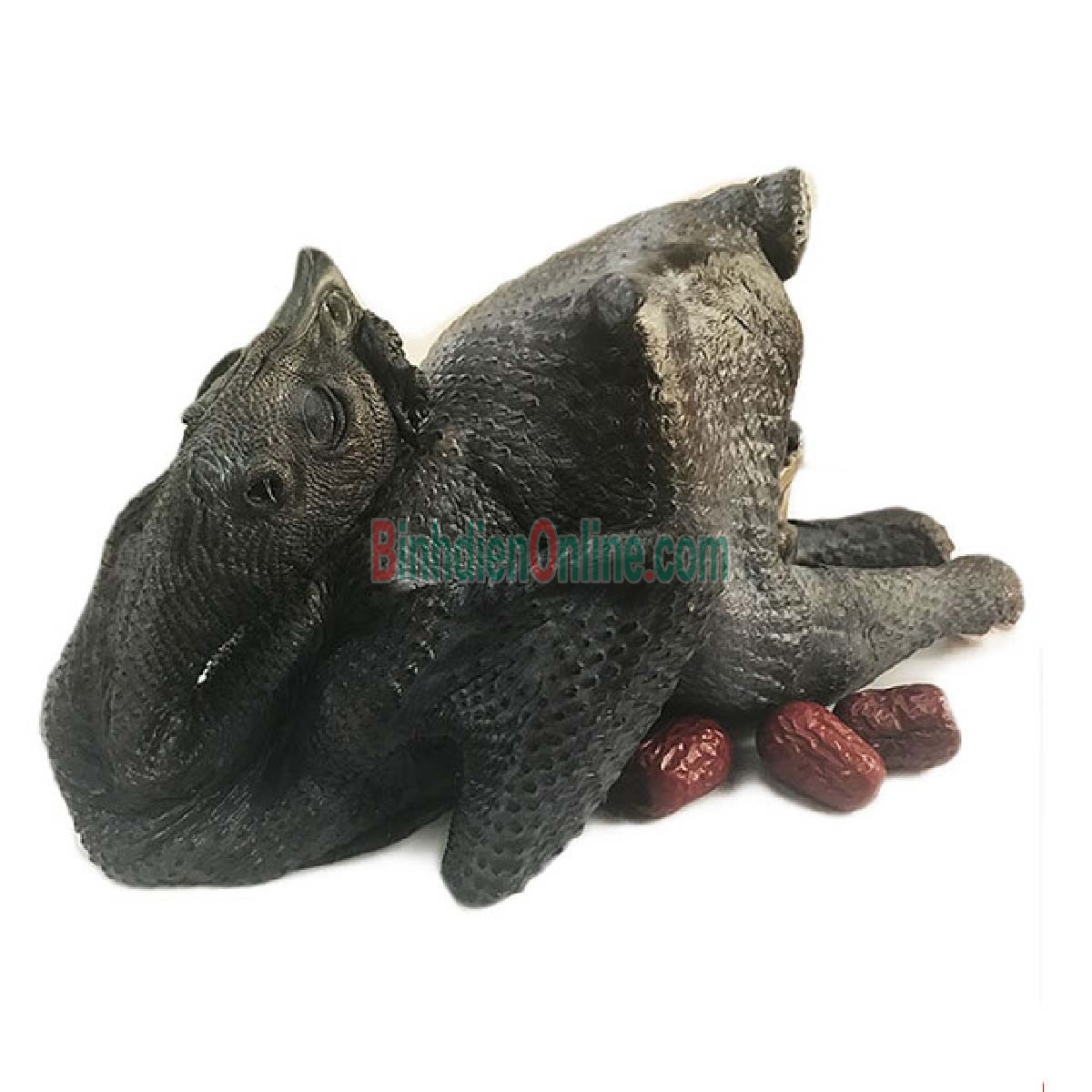 Gà ác nuôi an toàn còn sống, giá tốt 400-500 gr/con Xuất xứ Bình Dương
