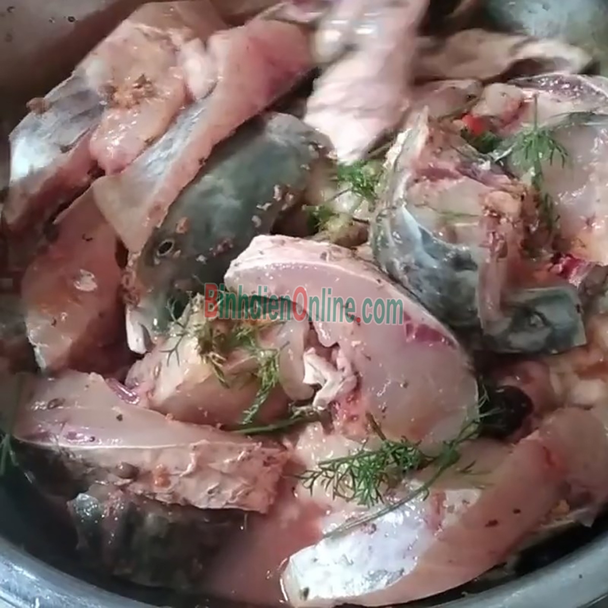 Cá trôi thiên nhiên sống, giá tốt và an toàn 4-5 kg/con Xuất xứ An Giang