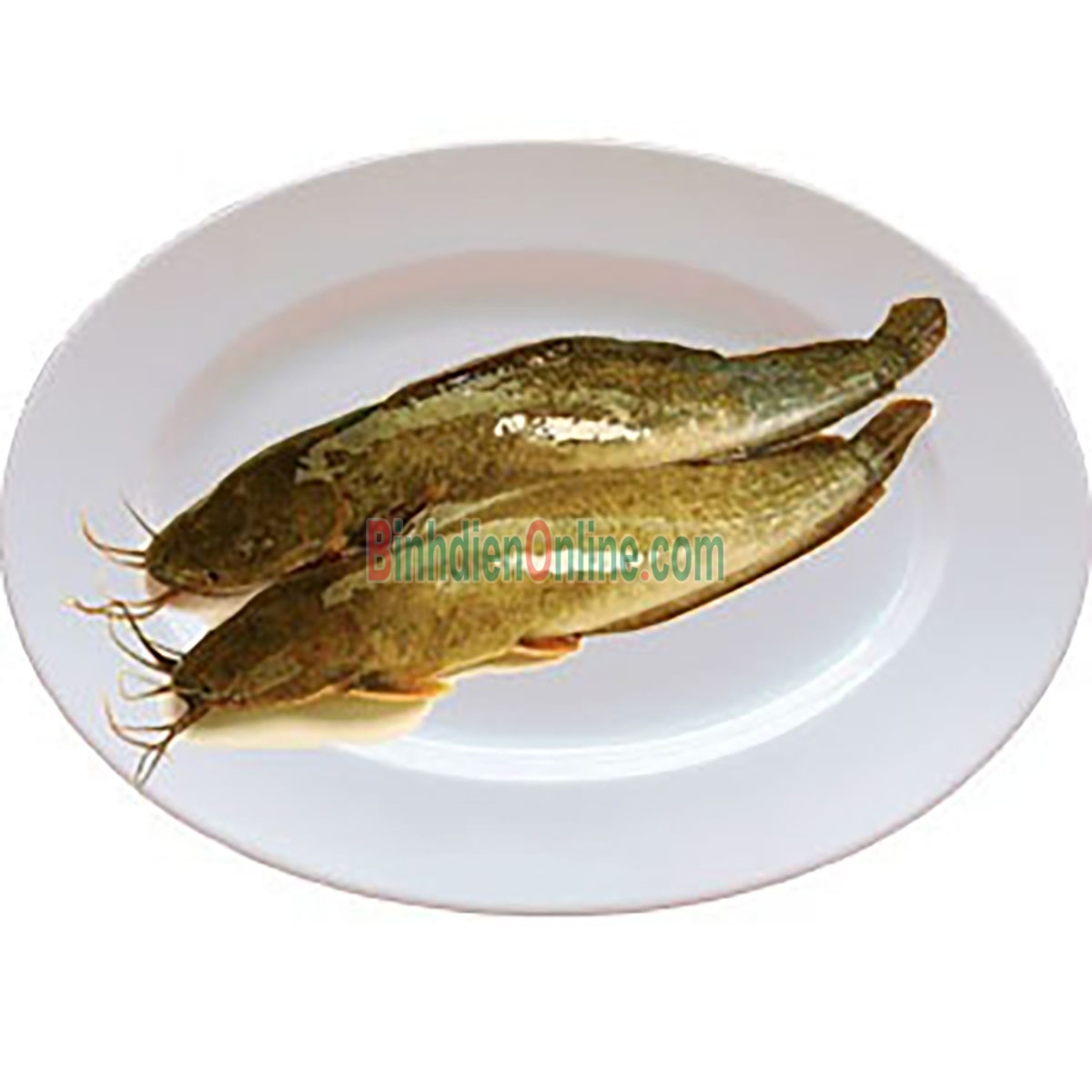 Cá trê vàng thiên nhiên đã làm sạch, giá tốt và an toàn 400-600 gr/con Xuất xứ Tiền Giang