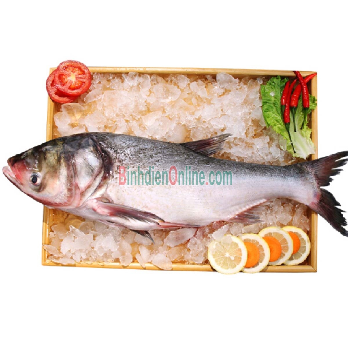 Cá mè sống thiên nhiên giá tốt 1,5-2 kg/con Xuất xứ Tây Ninh