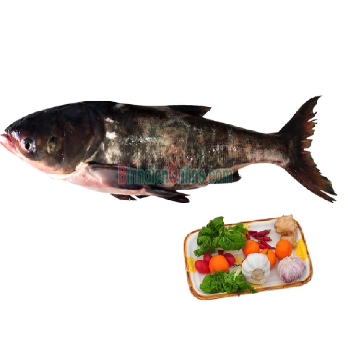 Cá mè sống đã làm sạch, nuôi an toàn Vetgap 1,5-2 kg/con Xuất xứ Đồng Nai