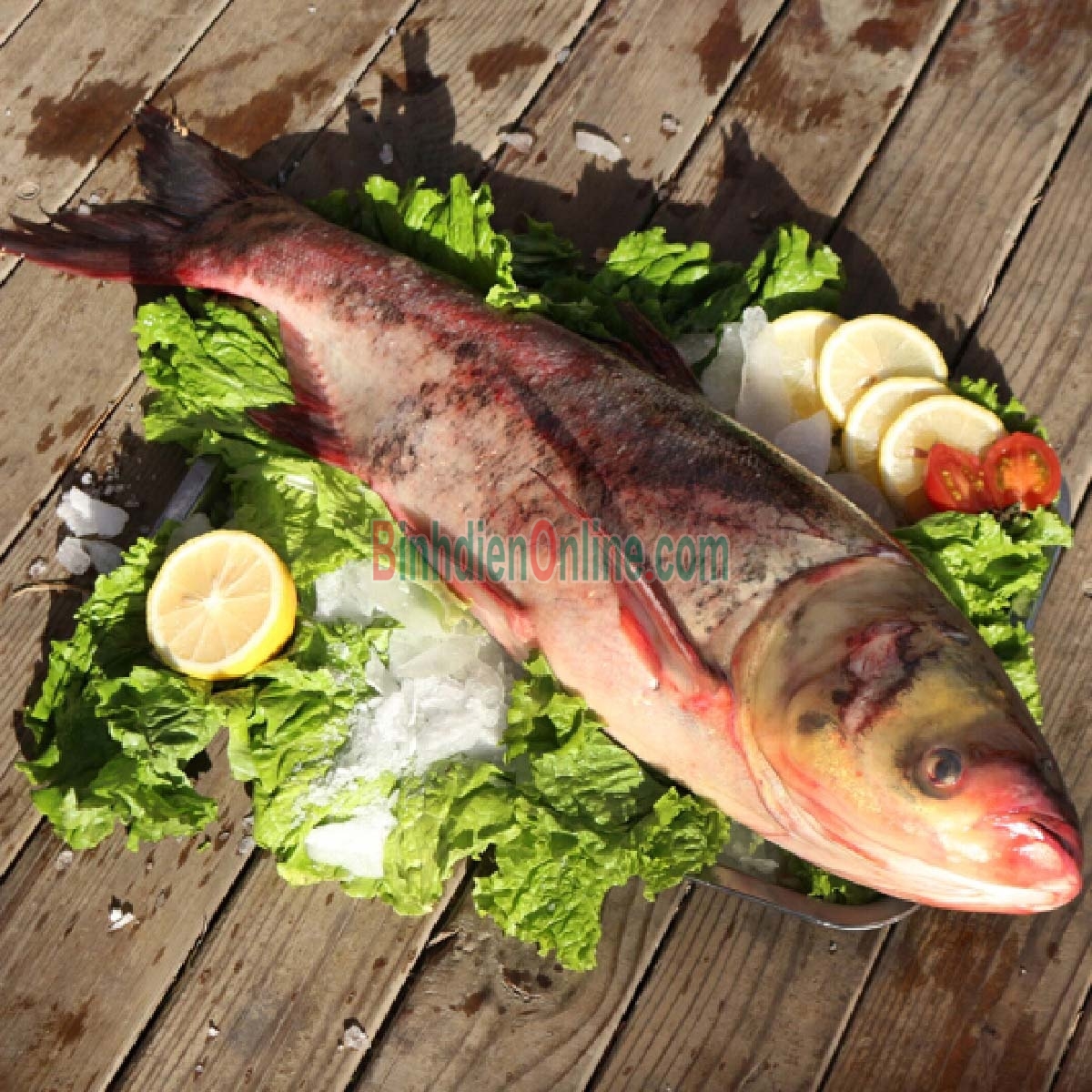 Cá mè sống đã làm sạch, nuôi an toàn Vetgap 3-4 kg/con Xuất xứ Tây Ninh