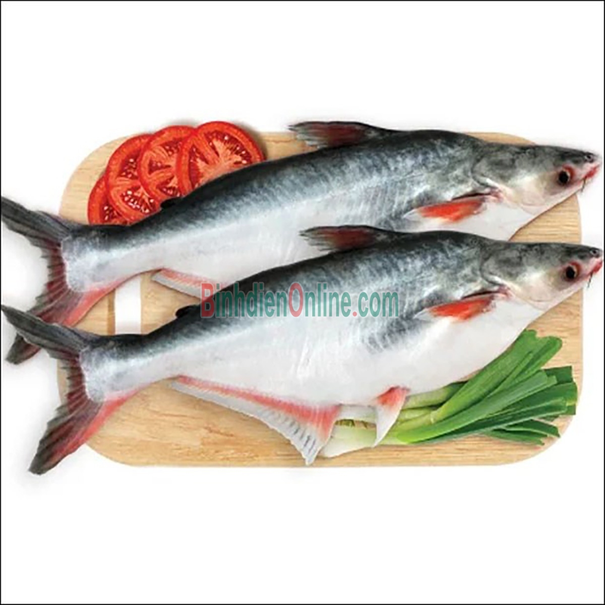 Cá hú sống mới đánh bắt, thơm ngon 1-1,5 kg/con Xuất xứ Bến Tre