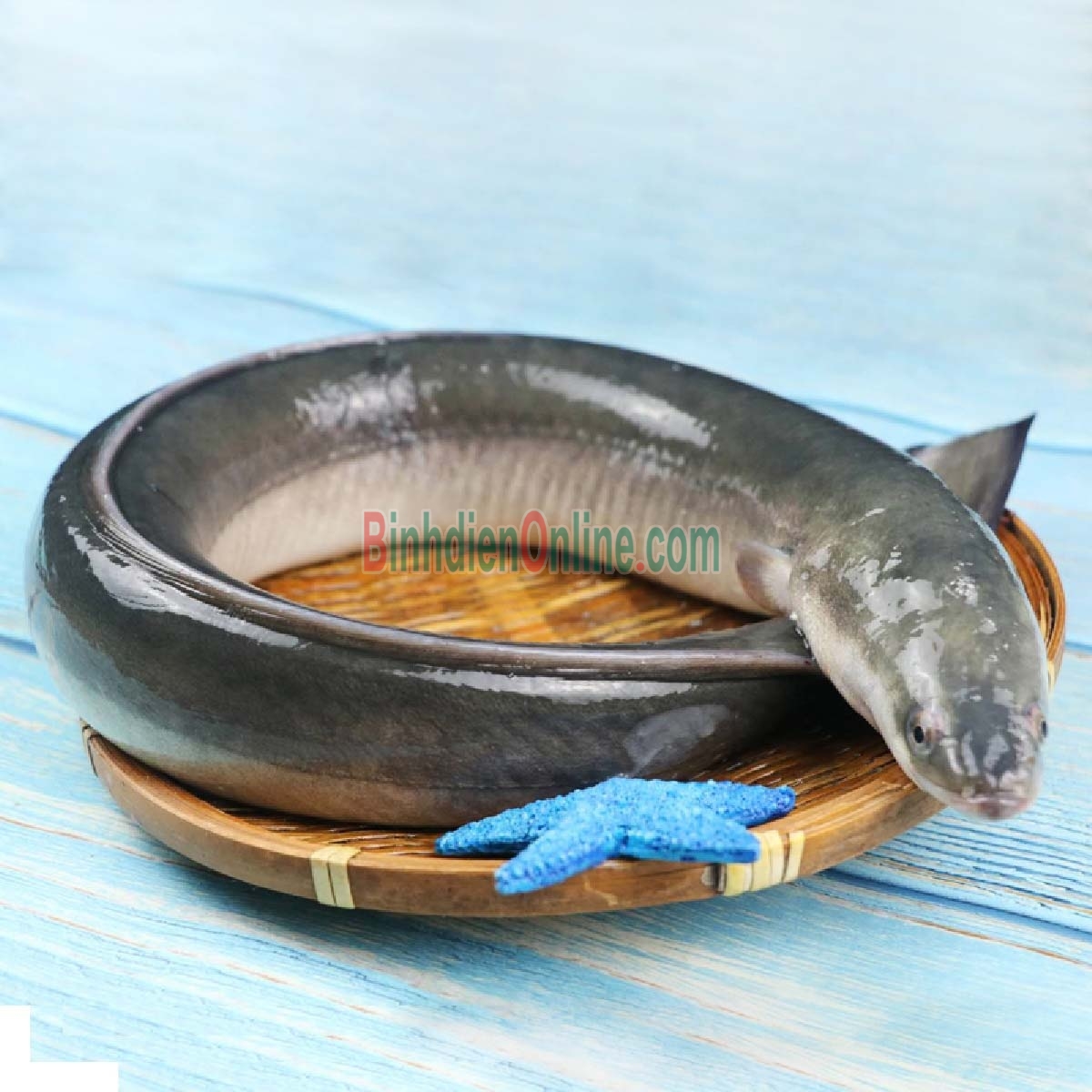Cá chình thiên nhiên loại 1 đã làm sạch 2-2,5 kg/con Xuất xứ Đồng Nai