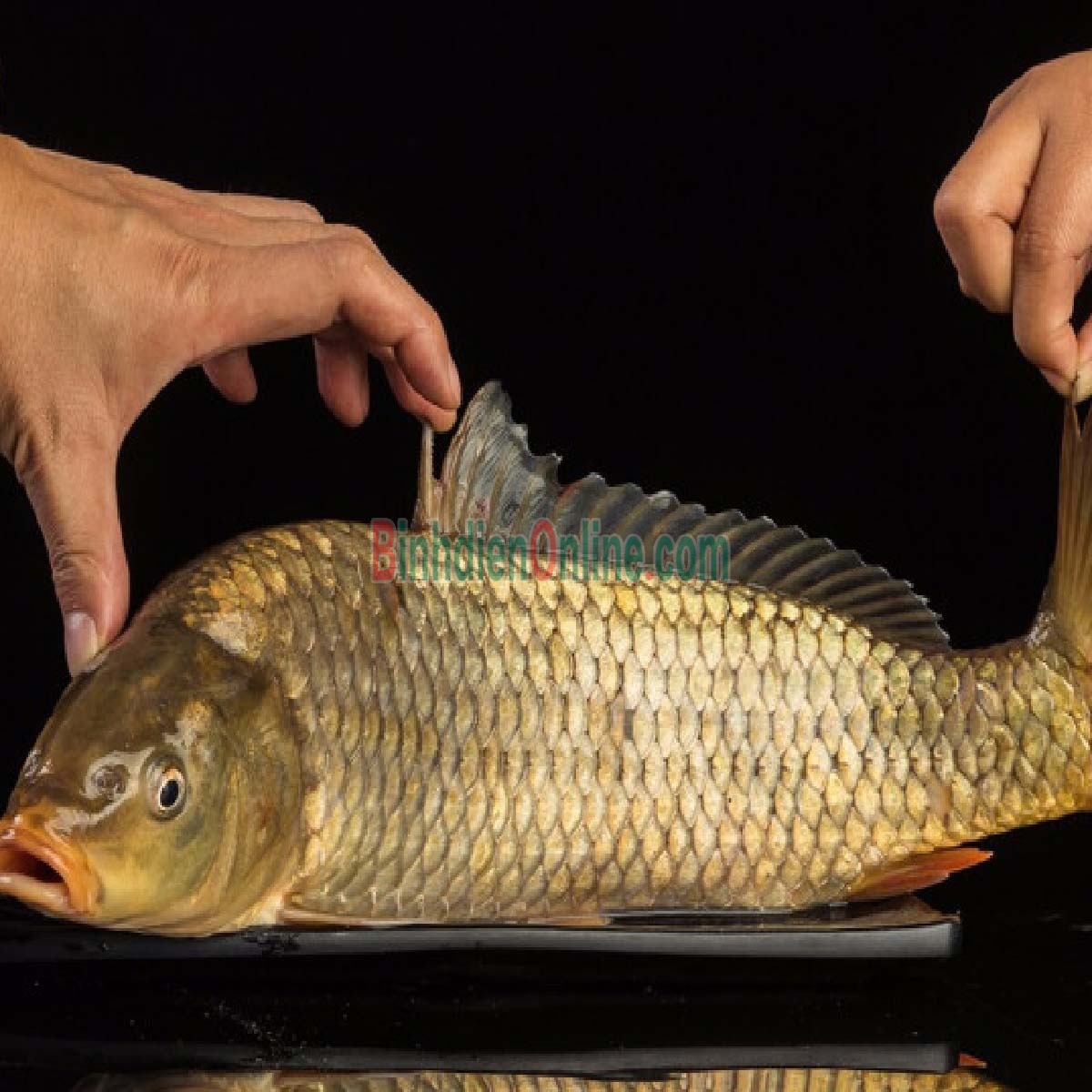 Cá chép thiên nhiên đã làm sạch, thơm ngon bổ dưỡng 1-1,5 kg/con Xuất xứ An Giang