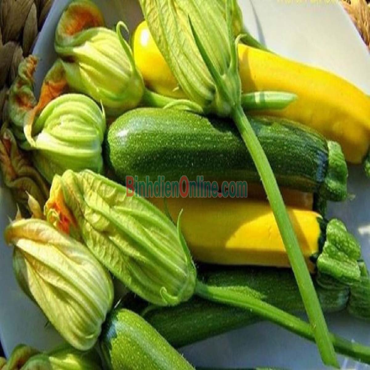 Bí nụ bao tử an toàn VietGAP Bán theo kg Xuất xứ Long An