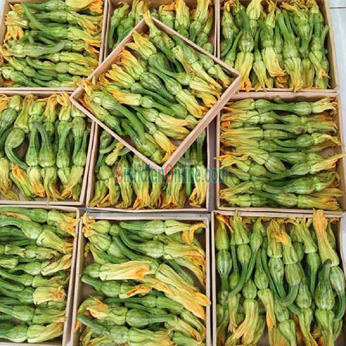 Bí nụ bao tử an toàn tươi ngon Bán theo kg Xuất xứ Tiền Giang