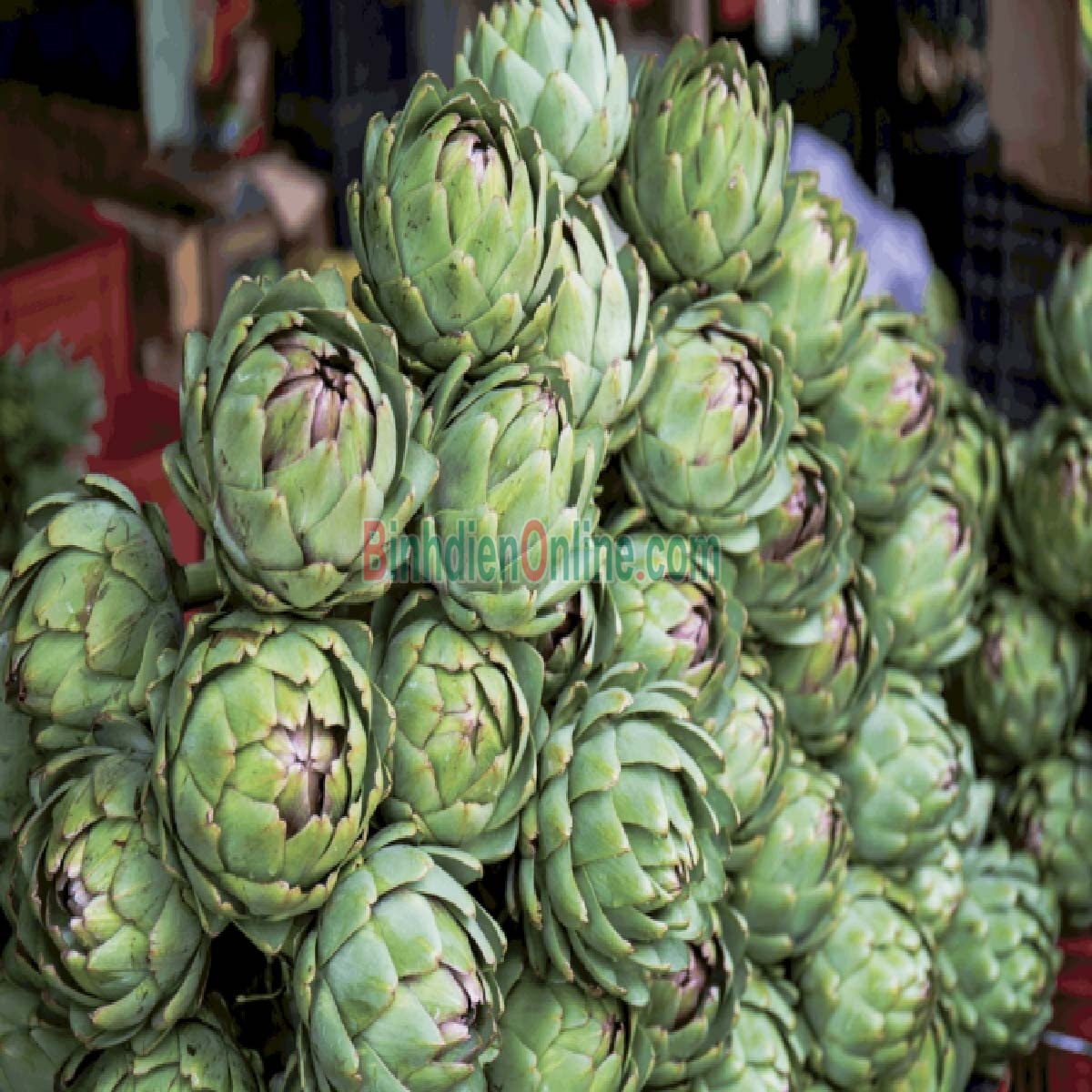 Bông atiso an toàn VietGAP 2-3 bông/kg Xuất xứ Lâm Đồng