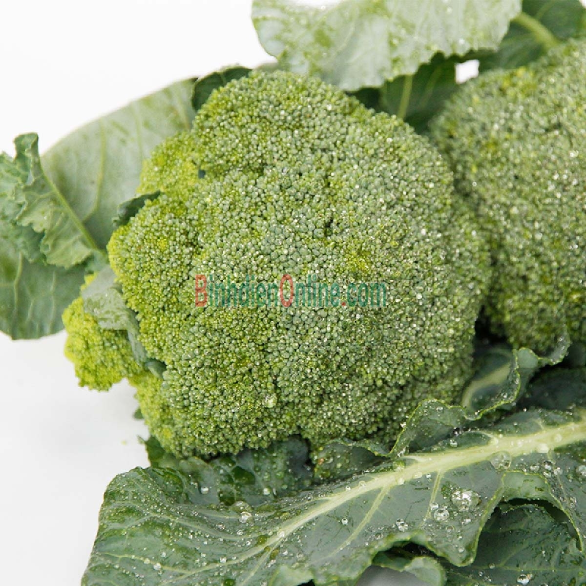 Bông cải xanh  tươi 3-4 bông/kg Xuất xứ Lâm Đồng