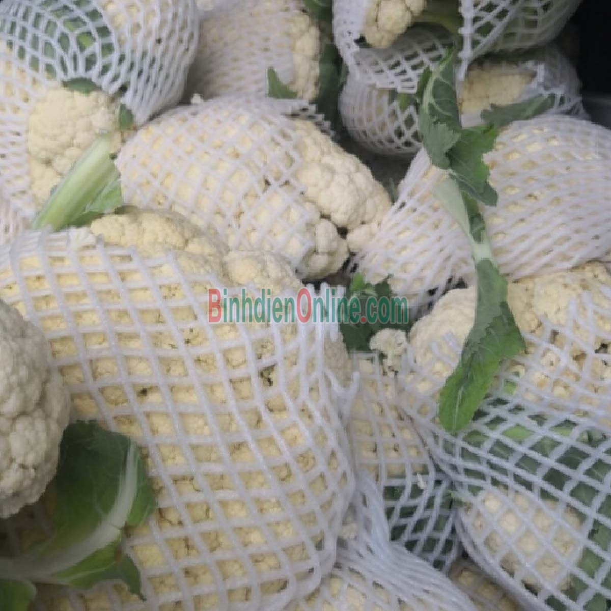 Bông cải trắng  hữu cơ 2-3 bông/kg Xuất xứ Lâm Đồng