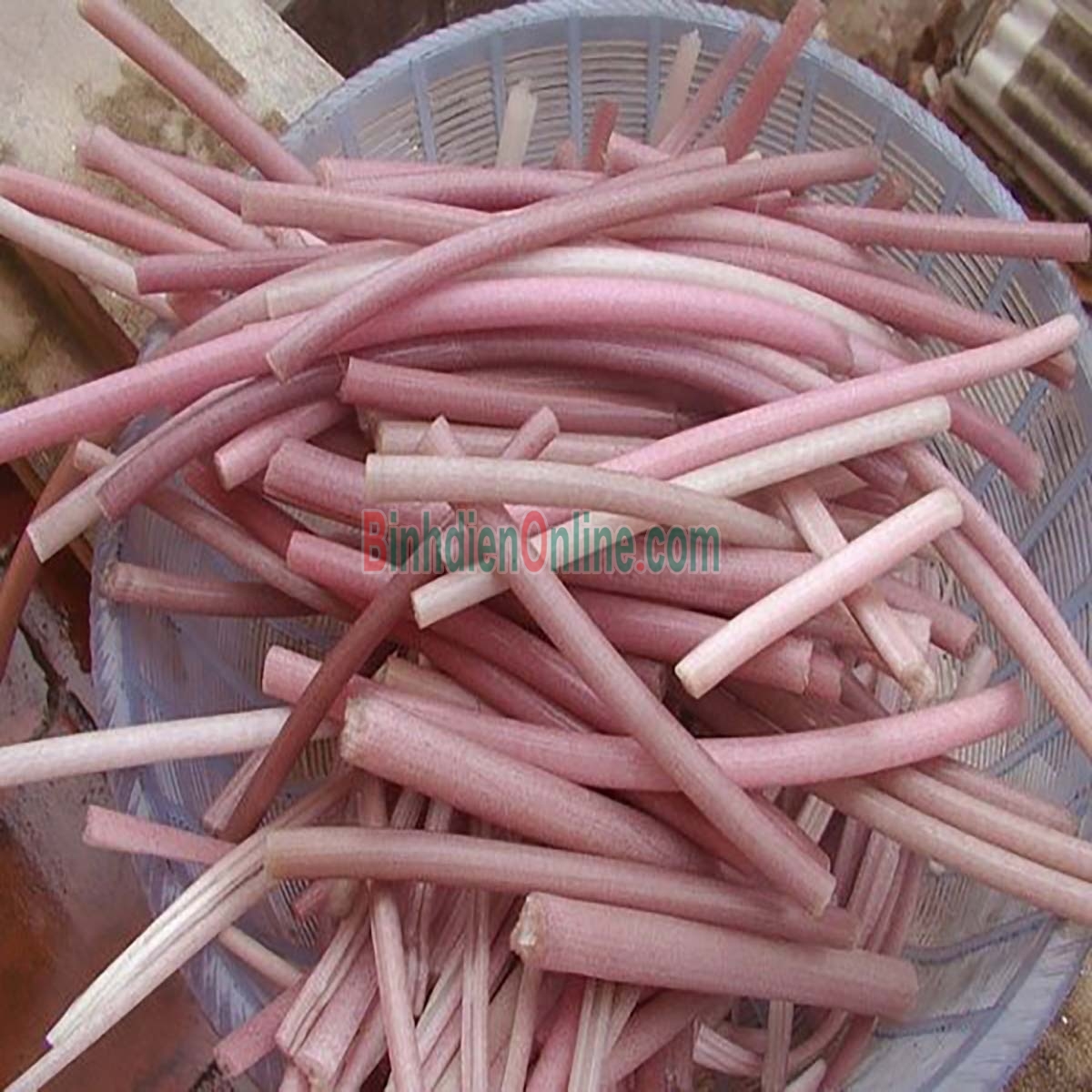 Bông súng đồng quê tươi ngon Bán theo kg Xuất xứ Long An