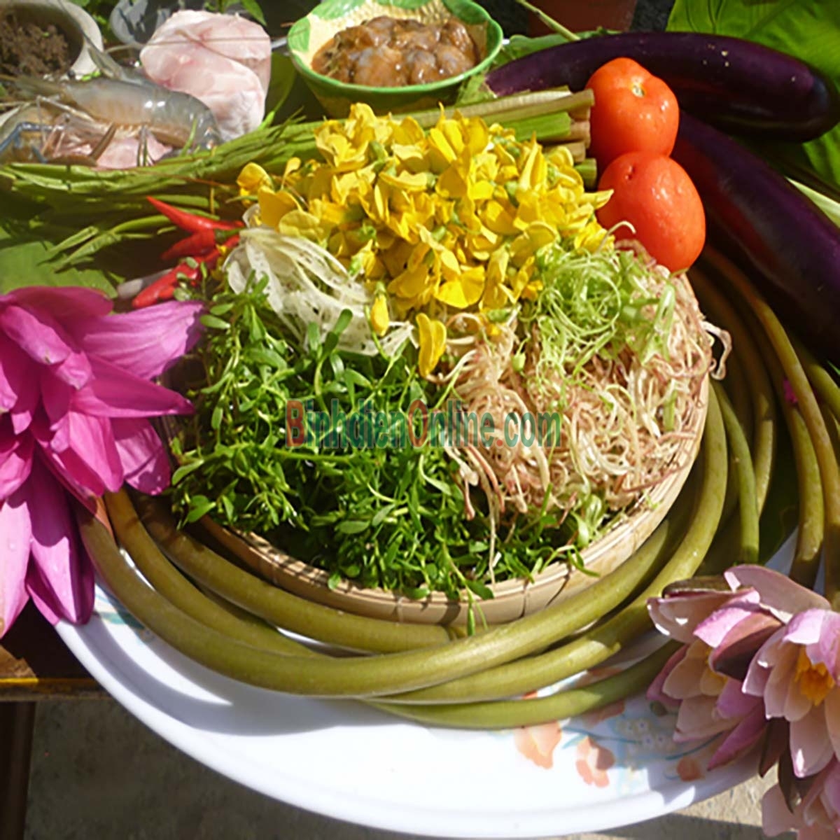 Bông súng tươi ngon nhà trồng tự nhiên Bán theo kg Xuất xứ Tiền Giang