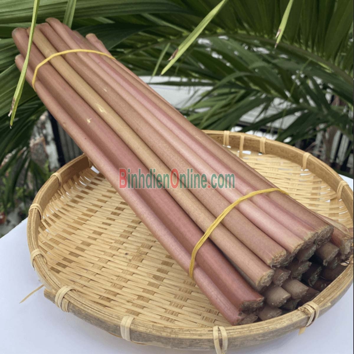 Bông súng vừa thu hoạch tươi ngon, an toàn Bán theo kg Xuất xứ Đồng Tháp