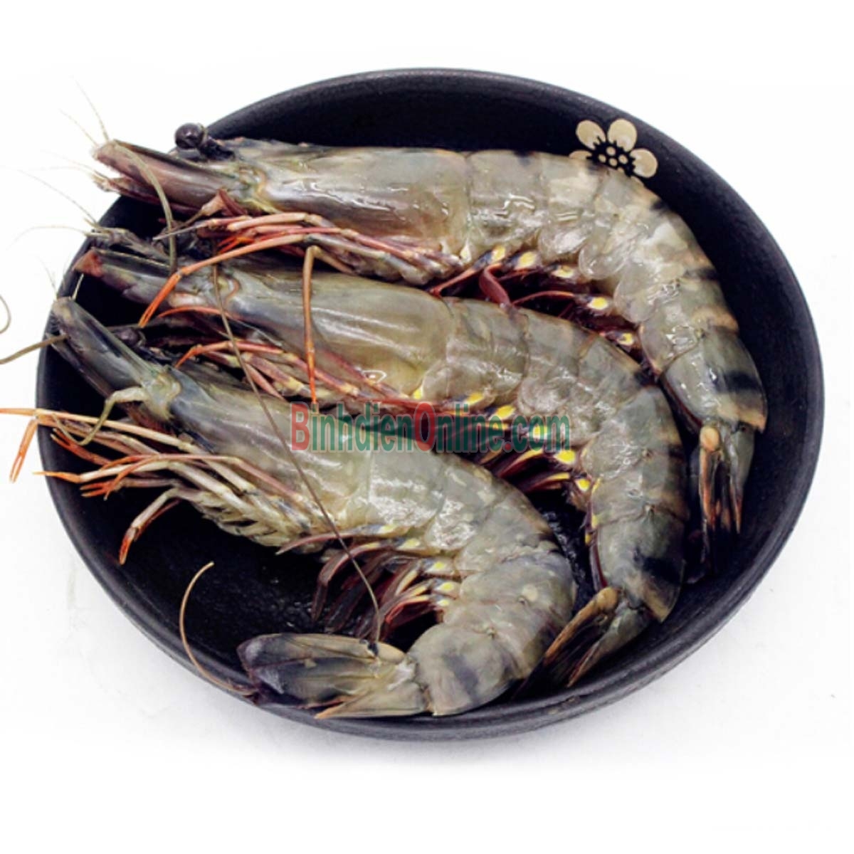 Tôm sú nguyên con tươi sống 25-30 con/kg Xuất xứ Long An