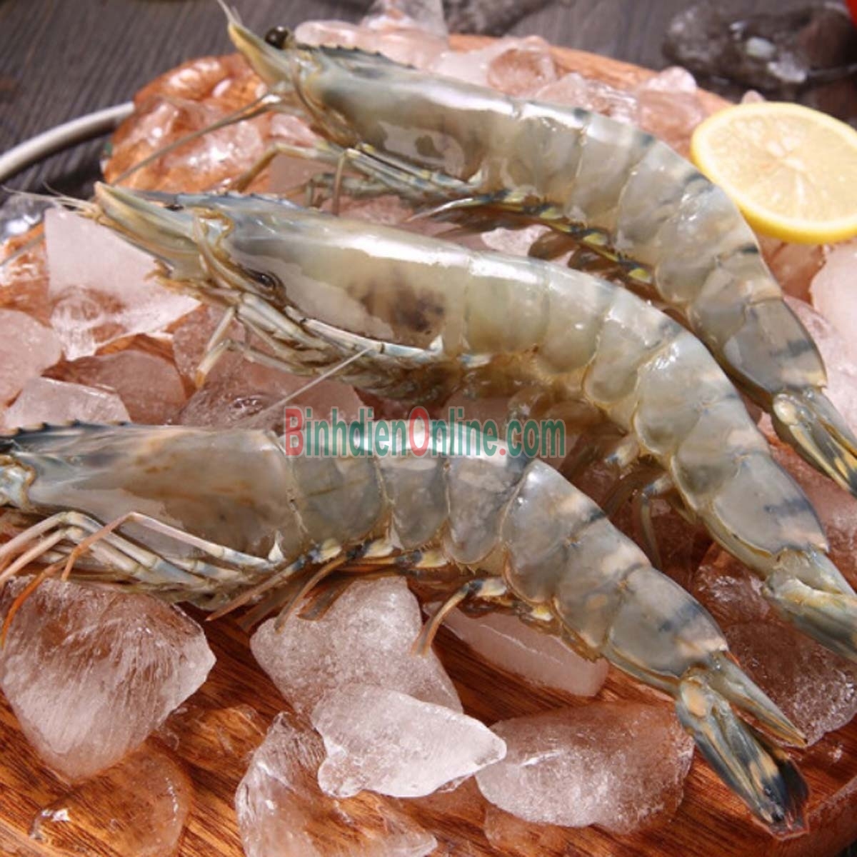 Tôm sú nguyên con tươi sống 30-35 con/kg Xuất xứ Long An