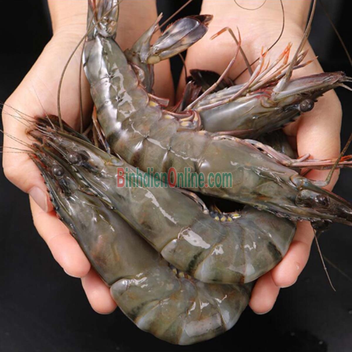 Tôm sú đông lạnh, nuôi thiên nhiên ngon tuyệt 10-15 con/kg Xuất xứ Trà Vinh