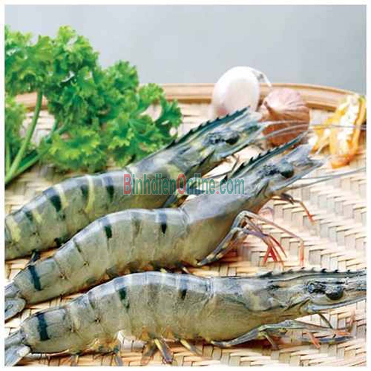 Tôm sú nguyên con tươi sống 50-60 con/kg Xuất xứ Sóc Trăng