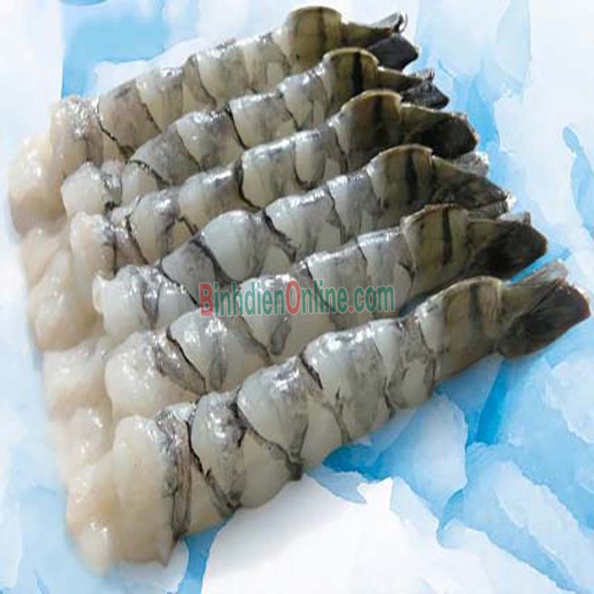 Tôm sú sống loại 1, nuôi sinh thái 60-70 con/kg Xuất xứ Bạc Liêu