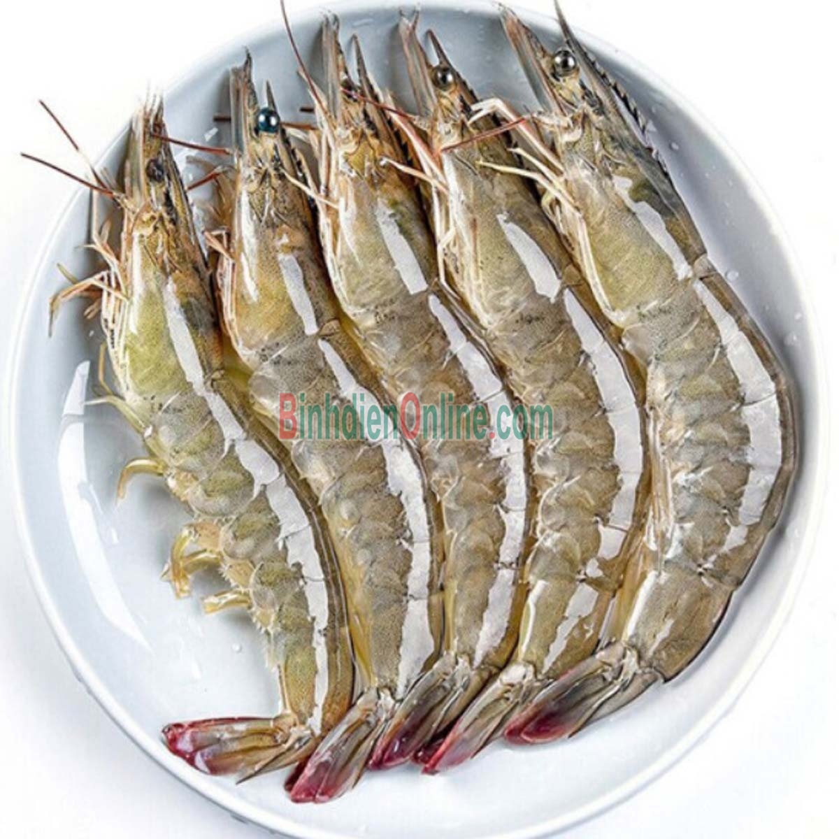 Tôm thẻ sống, nuôi an toàn loại 1 50-60 con/kg Xuất xứ Bến Tre